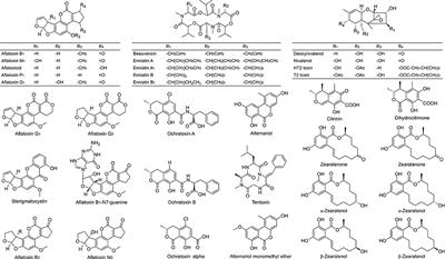 Exposure to Mycotoxin-Mixtures via Breast Milk: An Ultra-Sensitive LC-MS/MS Biomonitoring Approach